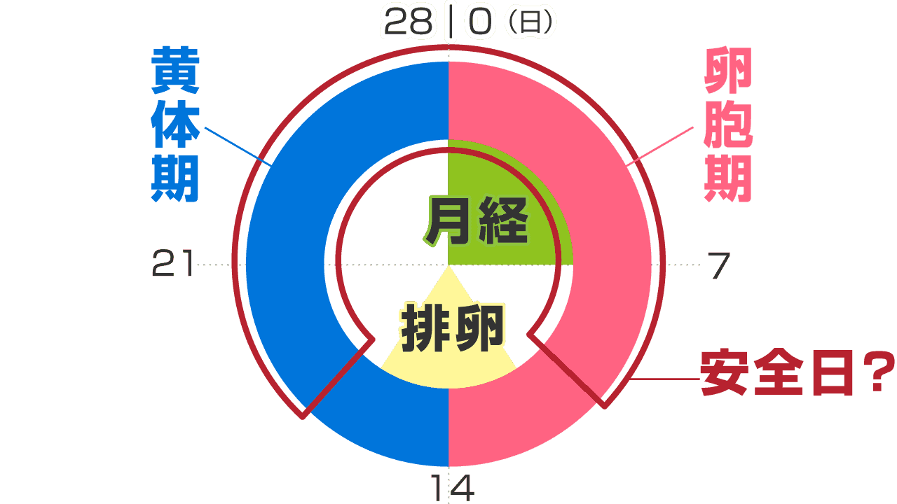 膣内射精の妊娠確率は？中出しされた時のリスクや対処法を医師が詳しく解説