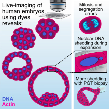 Integrative proteomic analyses across common