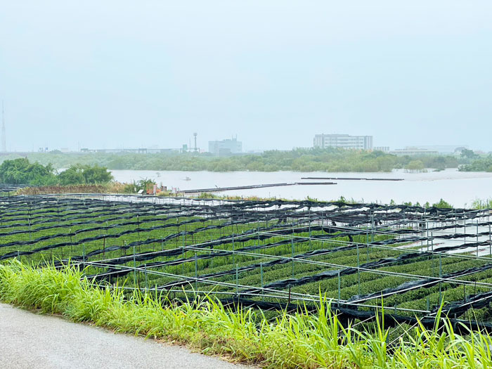 風の舞台から京都盆地の野分雲を見る ― 瓜生山歳時記#49 | 瓜生通信