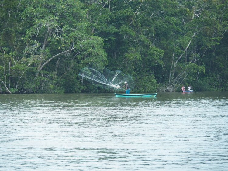 360+ Rio Dulce