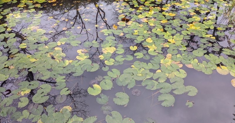 北関東最大の闇ビル”がカオス過ぎた、、、｜想い出のメモリーBlog