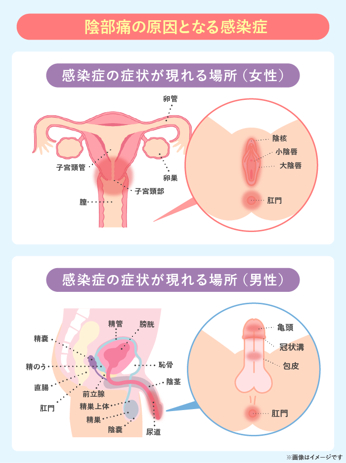 クリトリス 絶頂 : 傅 菁