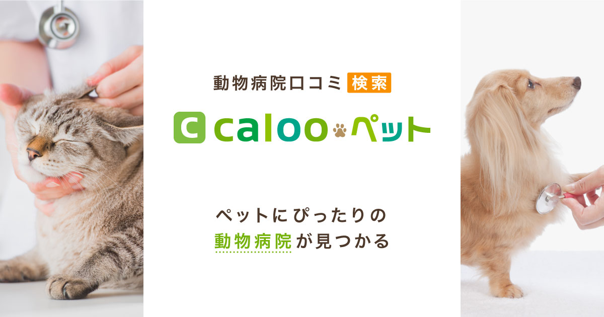 ふれあい活動２０１９｜横浜市南区の動物病院「加藤どうぶつ病院」