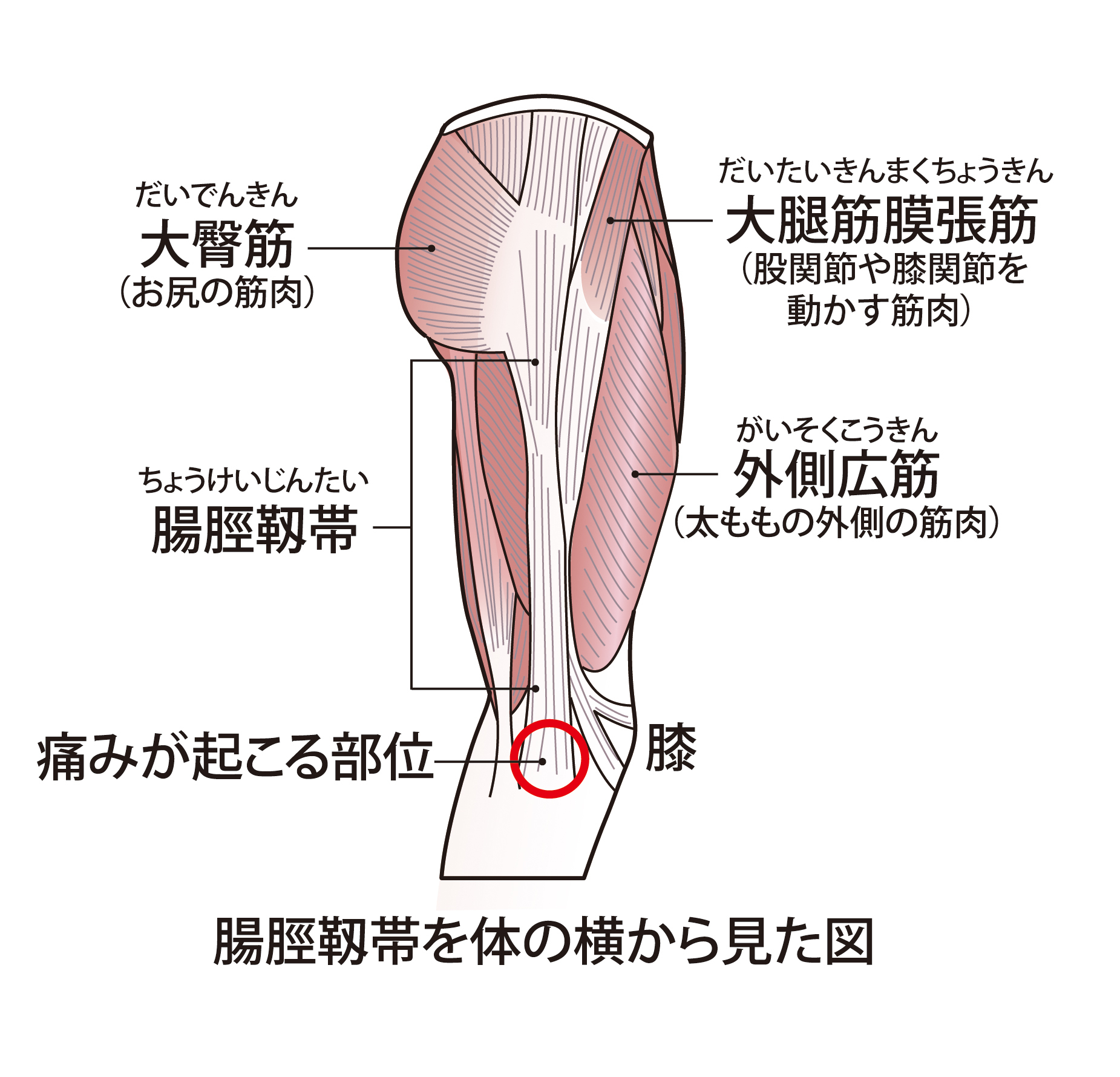 禁煙外来の費用はいくら？禁煙外来と保険適応の基準について解説【補助金】 | ひまわり医院（内科・皮膚科）