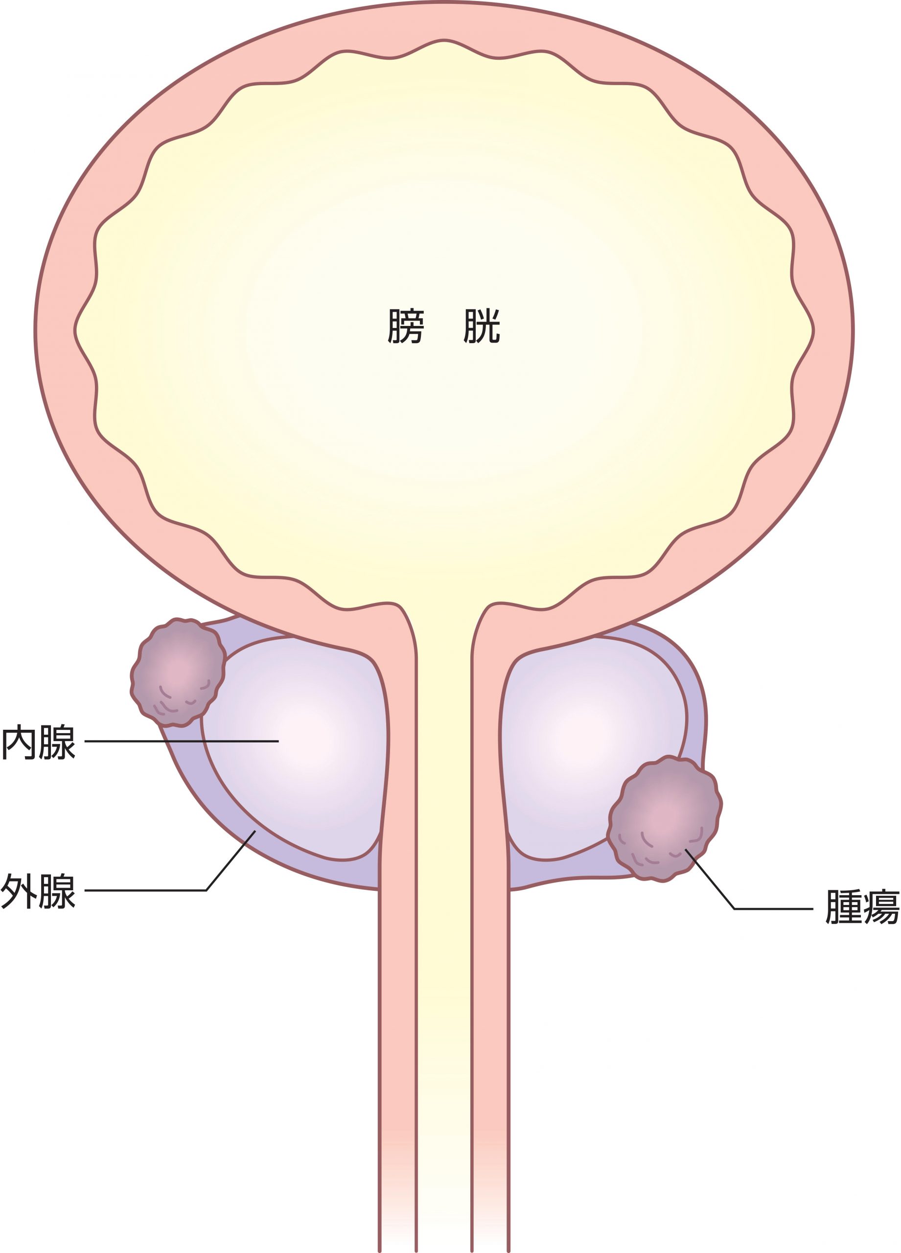 性病検査を受けた方がいい人は？受診の基準やタイミングを徹底解説 | GME医学検査研究所