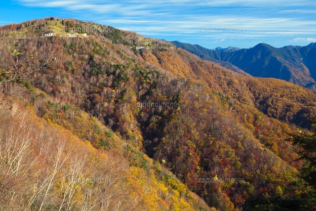 北八ヶ岳 ニュウ・しらびそ小屋