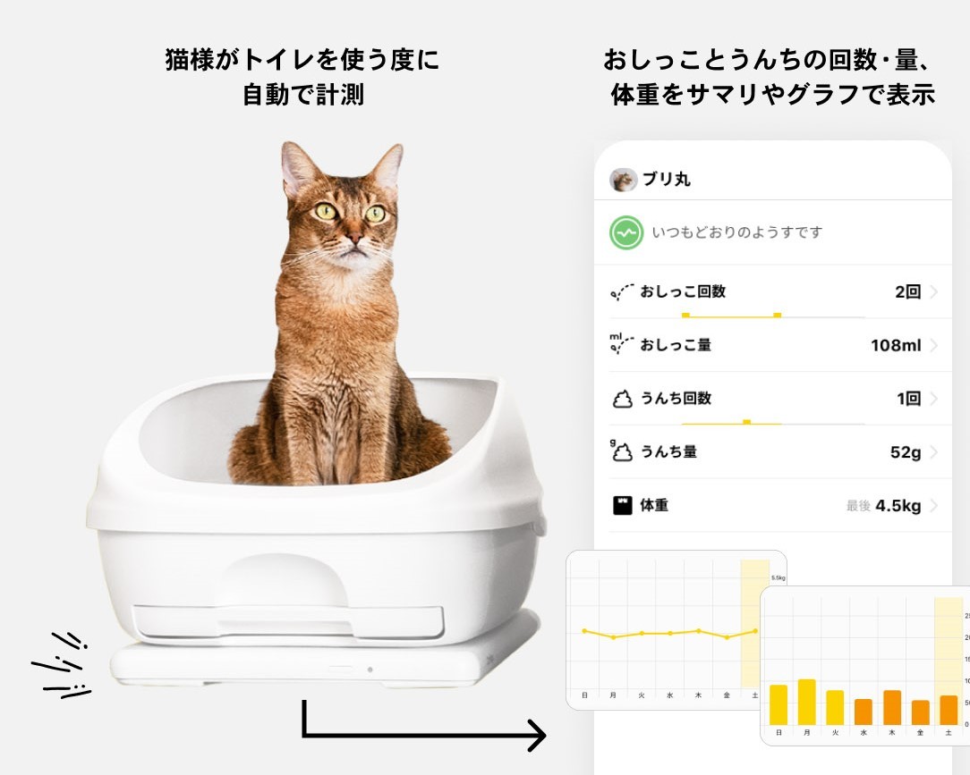 ファミマでバイトテロ発生ヤバ過ぎwww 有名私立大生と特定？ 帝京平成大学のここがスゴいガム #shorts