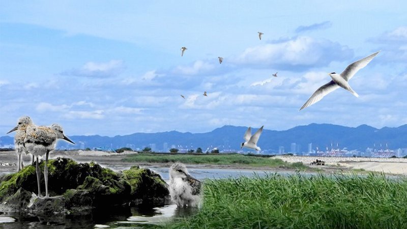 私の夢、人生の楽園 | 大阪府河内長野市のアイシングクッキー教室sakuranocookie初心者さんから資格取得まで