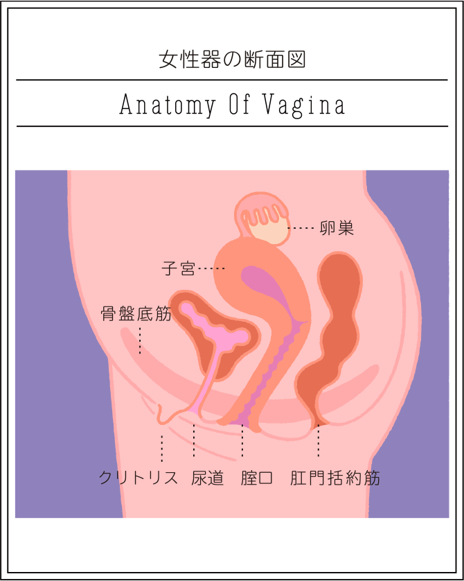 凌○被害者15人！○畜男に不同意セックスを迫られ強引に挿入された女たち | 見放題LIVE＋VOD