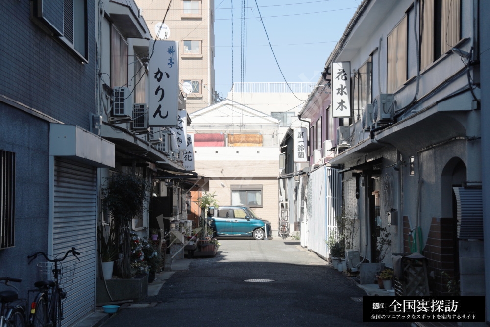 滝井新地には熟女が存在し、風俗嬢によっては生中出しも可能｜笑ってトラベル：海外風俗の夜遊び情報サイト