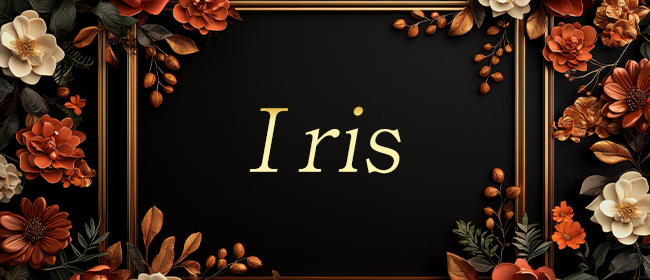 IRIS~アイリス｜瀬戸市のリラクゼーション : 菱野町 マッサージ メンズエステ