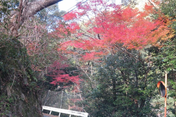 JA富里市 産直センター |