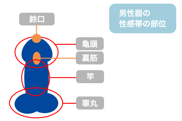 格別の快感！】男のスローオナニーとは？やり方やメリットなどを解説｜駅ちか！風俗雑記帳