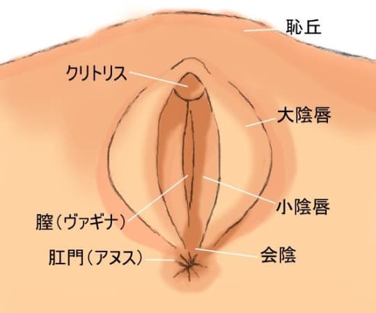 9割の男子が知らないクンニのやり方・コツ！圧倒的に気持ちいいテクを紹介｜駅ちか！風俗雑記帳