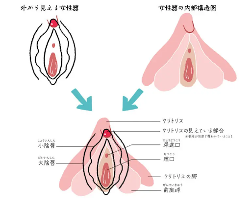 オナニー】ドスケベ素人１２人 指だけの連続イキまくりマン喫オナニー |