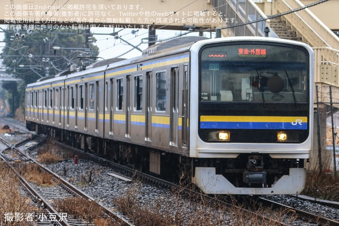 菜の花からトロッコ列車まで。村井美樹が教える春の房総日帰り旅 鉄学の部屋（第6回） | JBpress autograph