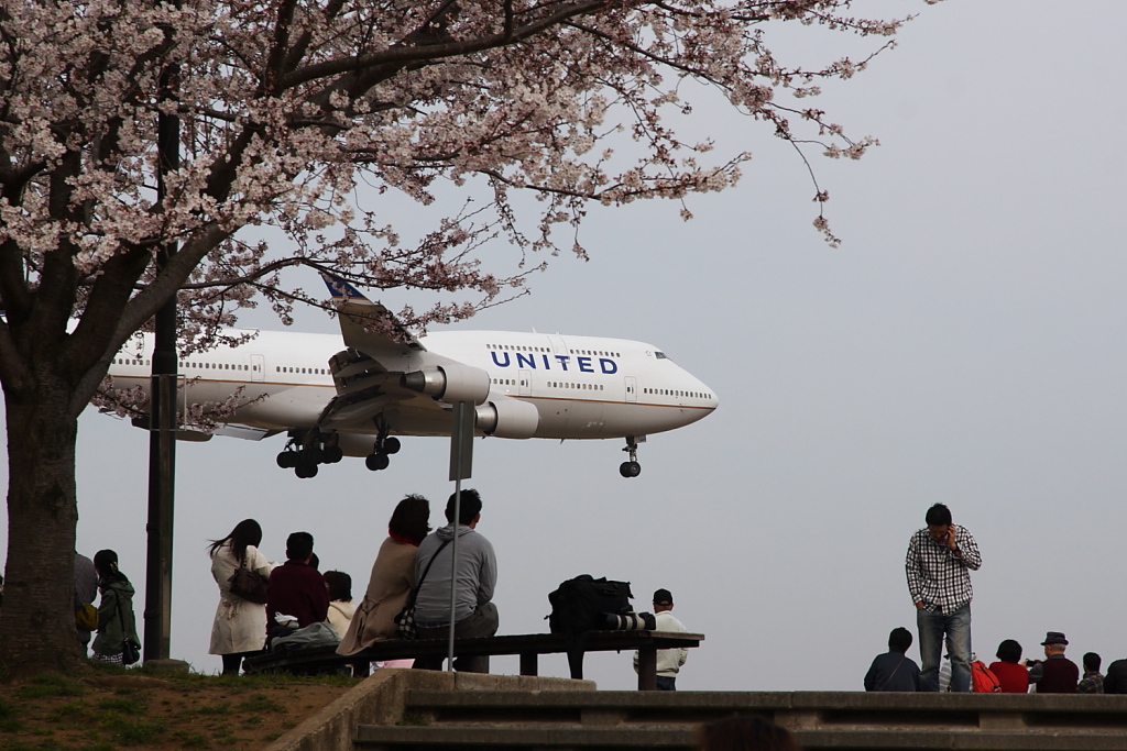 成田空港 さくらの山公園 さくらの丘公園 飛行機写真