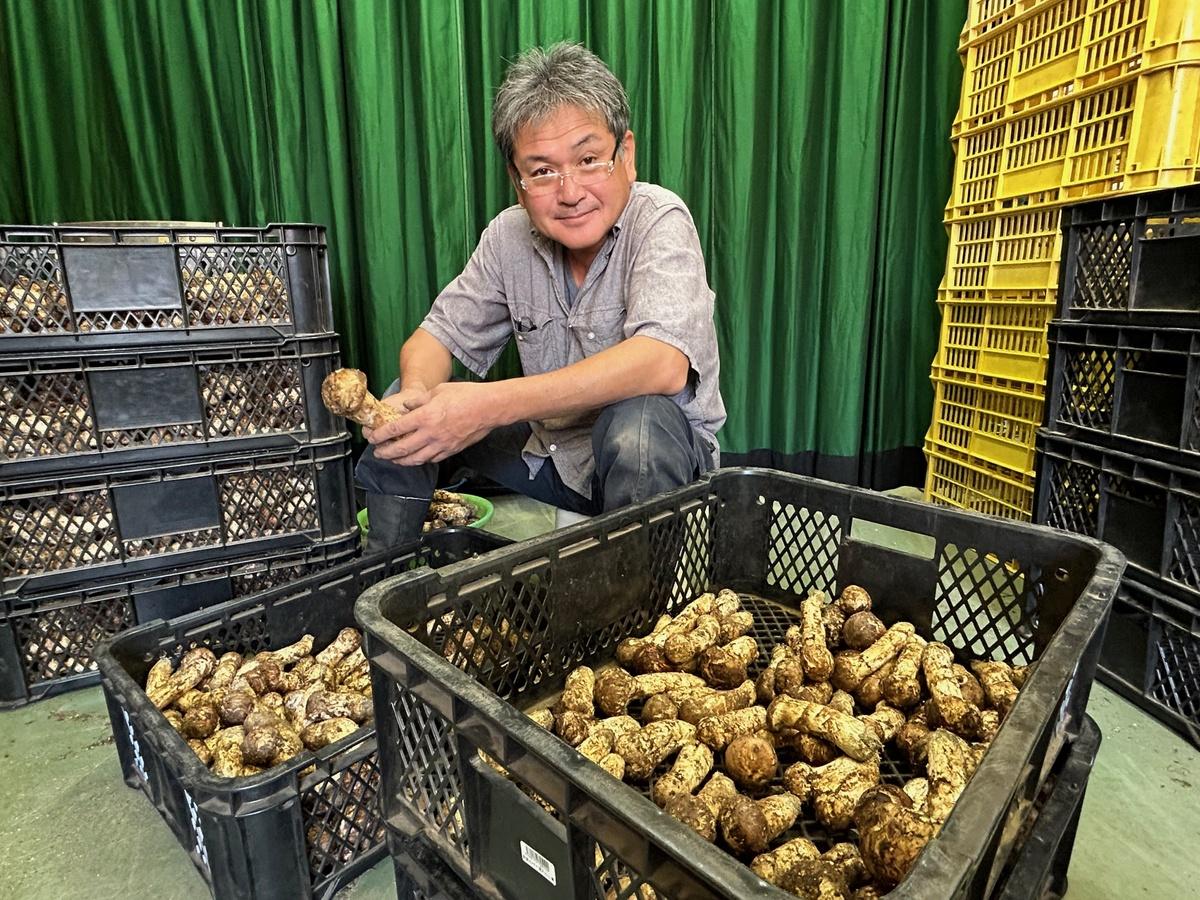 上田市】ここでしか食べられない松茸の料理も！「信州上田まつたけ＆ワイン祭り2024」は10/12開催です。 | 号外NET 上田