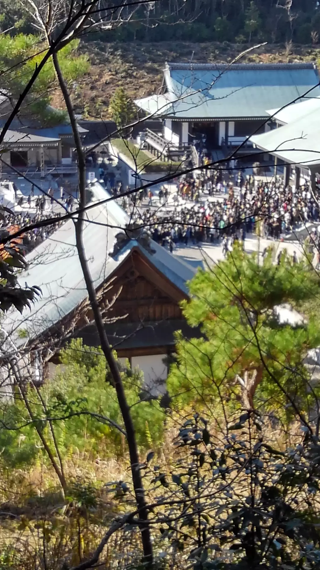 掛川市】ミソラタウン掛川-分譲地詳細｜セキスイハイム東海-静岡県の戸建分譲住宅・分譲地