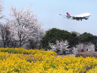 さくらの山公園】成田空港の離着陸機をご紹介 - YouTube