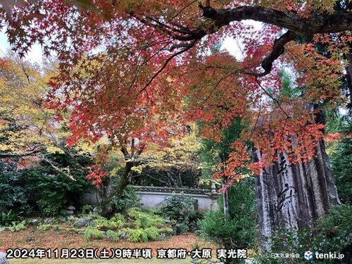 台風10号、近畿地方への影響が長期化恐れ 京都府、最接近は8月31日～9月2日頃か｜社会｜地域のニュース｜京都新聞