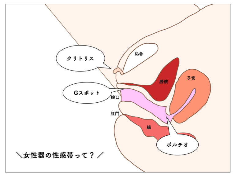 立たせてローター挿入 Ｍ女恋珀 | パイパン奴隷の野外露出とSM調教