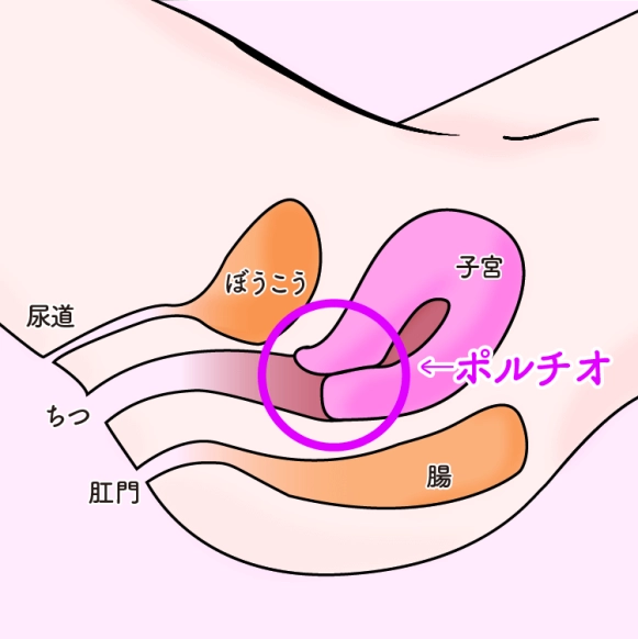 膣奥まであてられる深いセックス体位６選【イラスト図解版】 | セクテクサイト