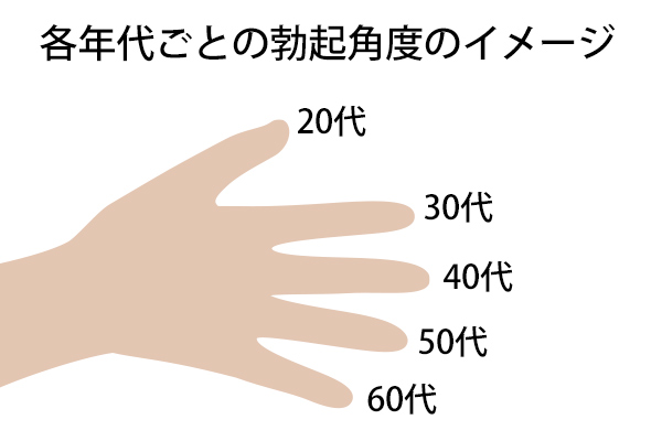 勃起の仕組み｜【浜松町第一クリニック】