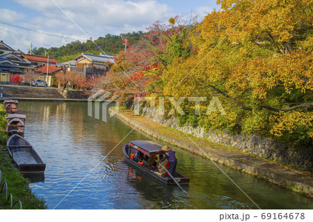 2022年11月 晩秋の東京の紅葉（練馬区氷川台）』練馬(東京)の旅行記・ブログ by 福ヒットさん【フォートラベル】