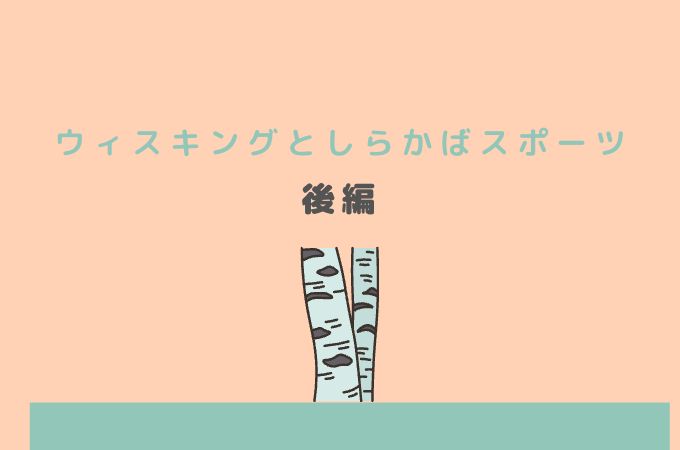 全身脱毛の平均相場はいくら？総額料金でクリニック・サロン13社の値段