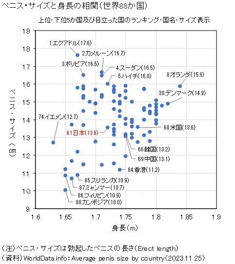 日本人男性のペニスの平均サイズについて - Genspark