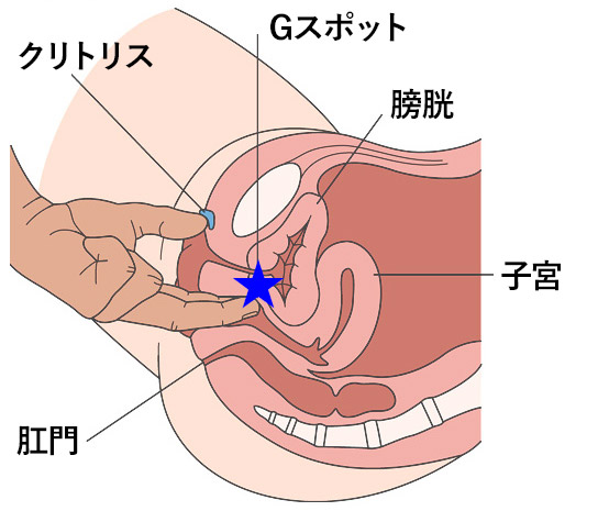 アレを吹かせる方法