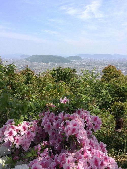 讃岐の里山① 堂山 （高松市） ３０４ｍ