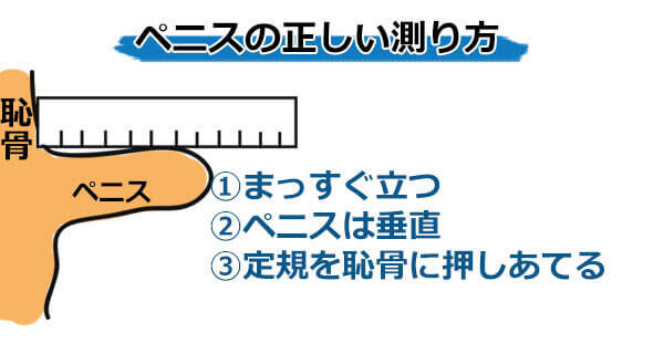 泌尿器専門医が解説】異物を入れずにカリ高ペニスを作る唯一の方法