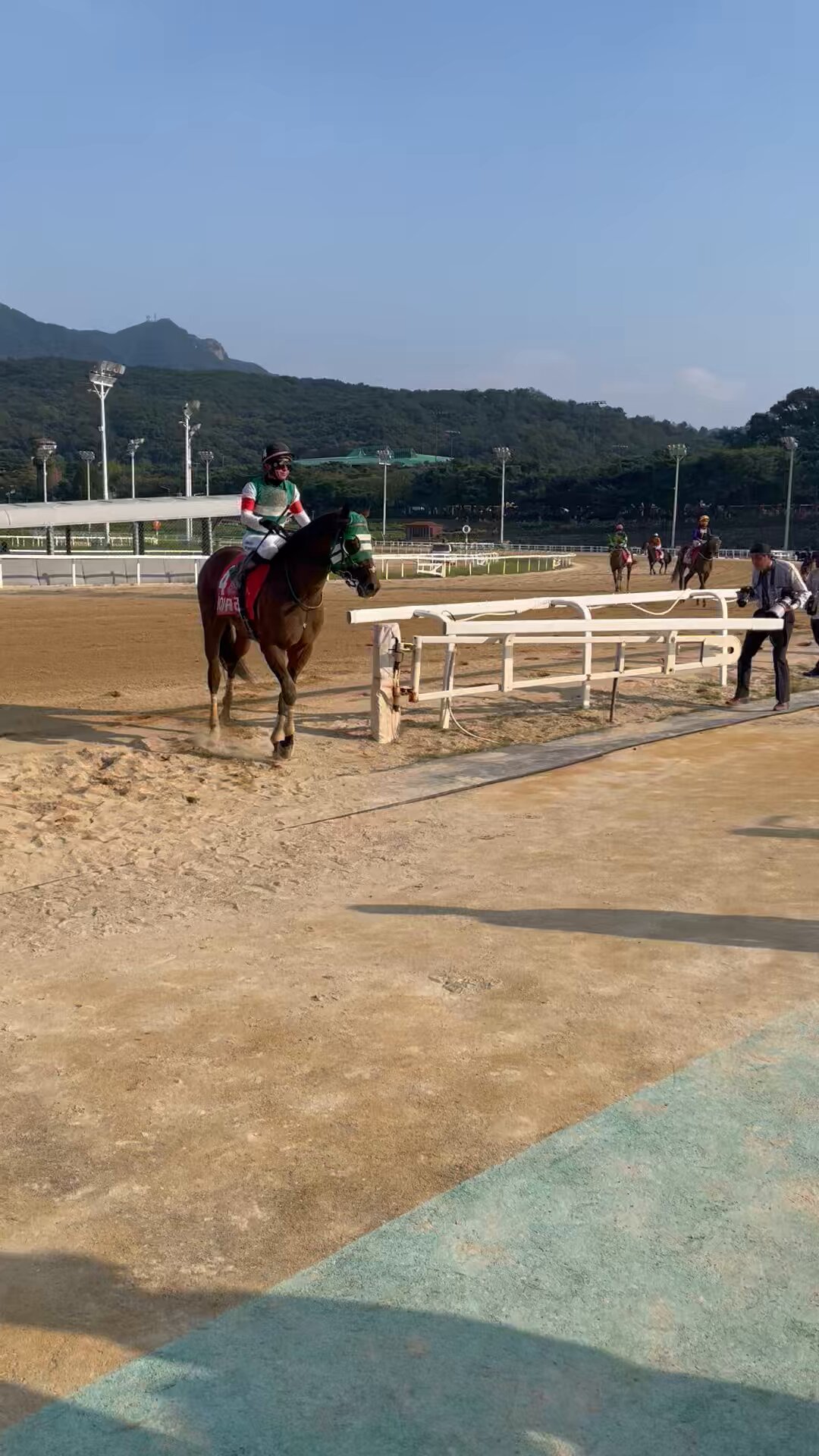 南関の刺客: 競馬茶論 ～サロン・ド・ケイバ～