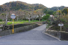 写真 : 堂山 - 高松市中間町/山