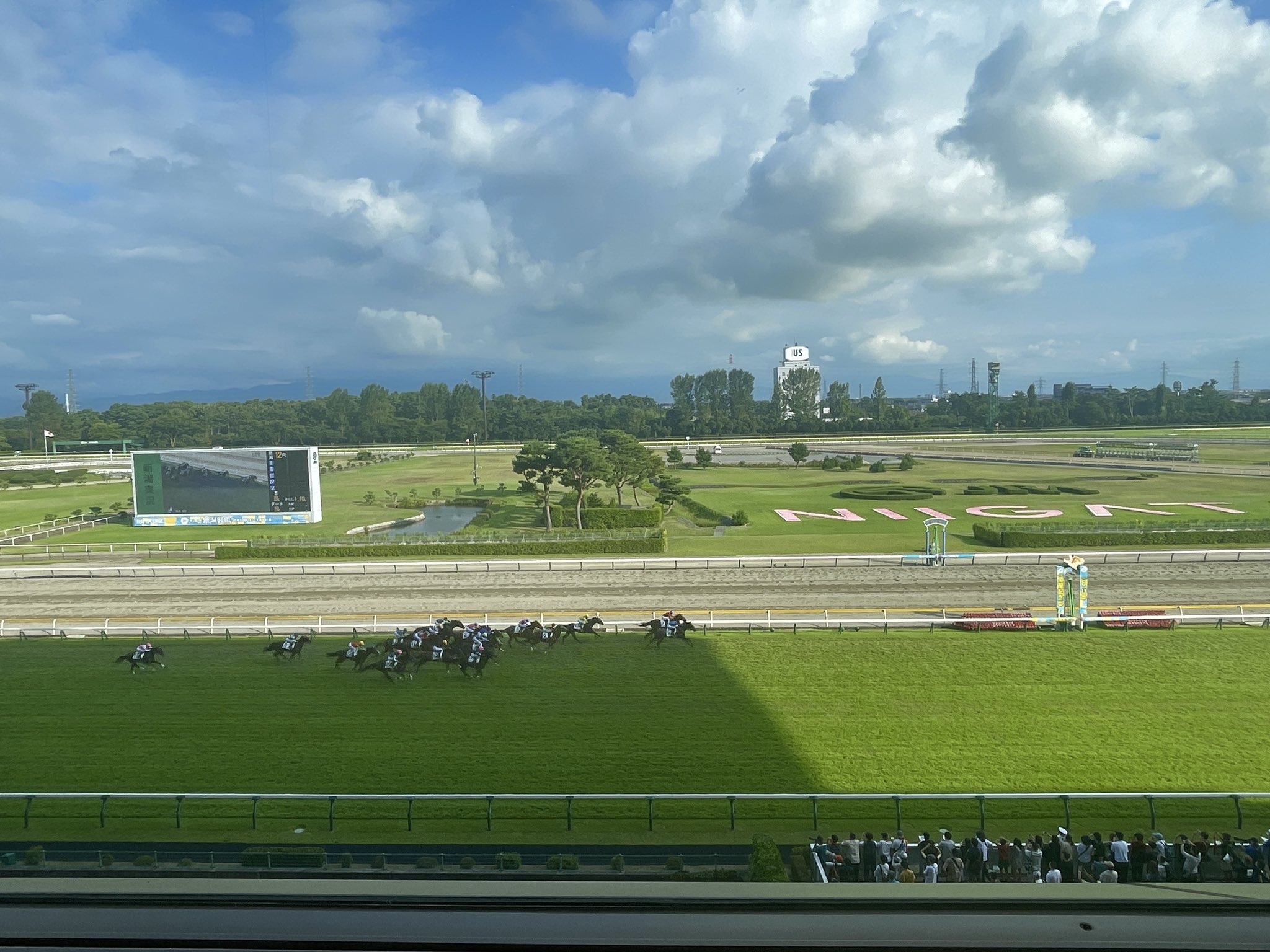 川崎競馬倶楽部ブログ 2022年11月