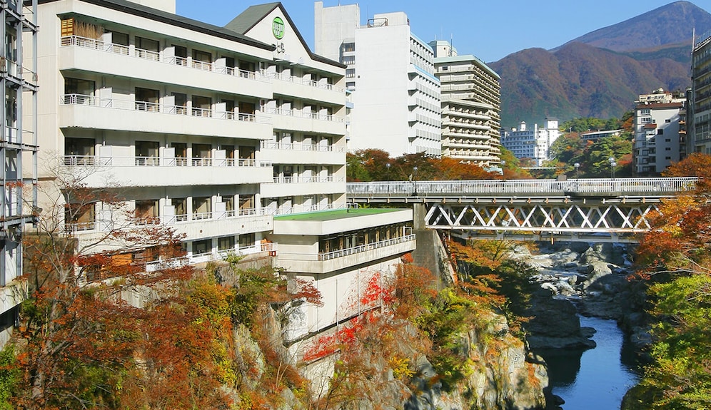 宿泊プラン - 鬼怒川温泉 旅館 一心舘