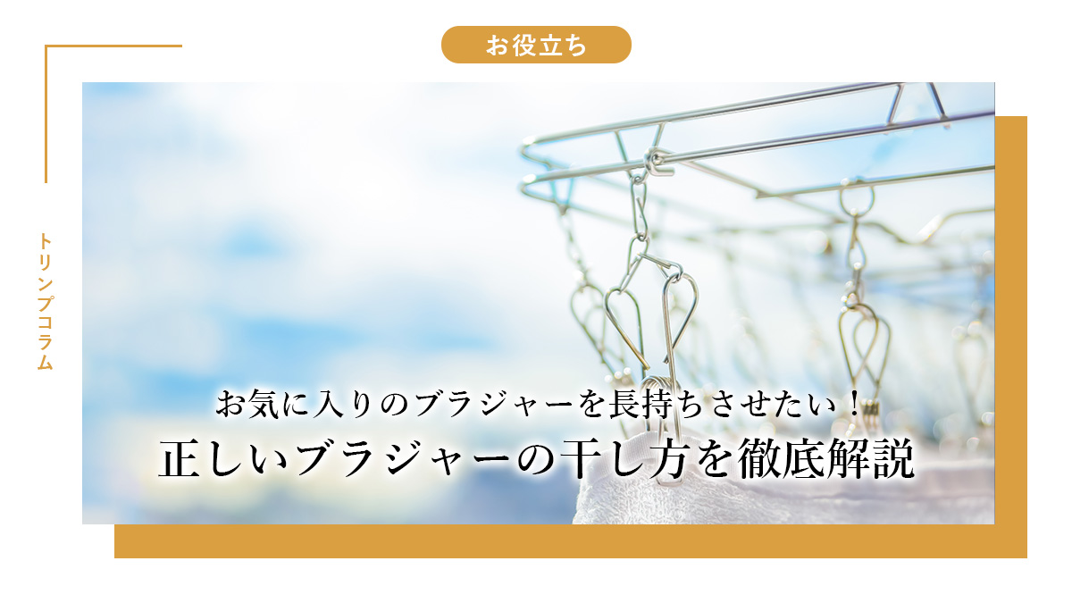 メスイキのための性感帯の開発をアナニー好きのぼくが語ります | アネドラ