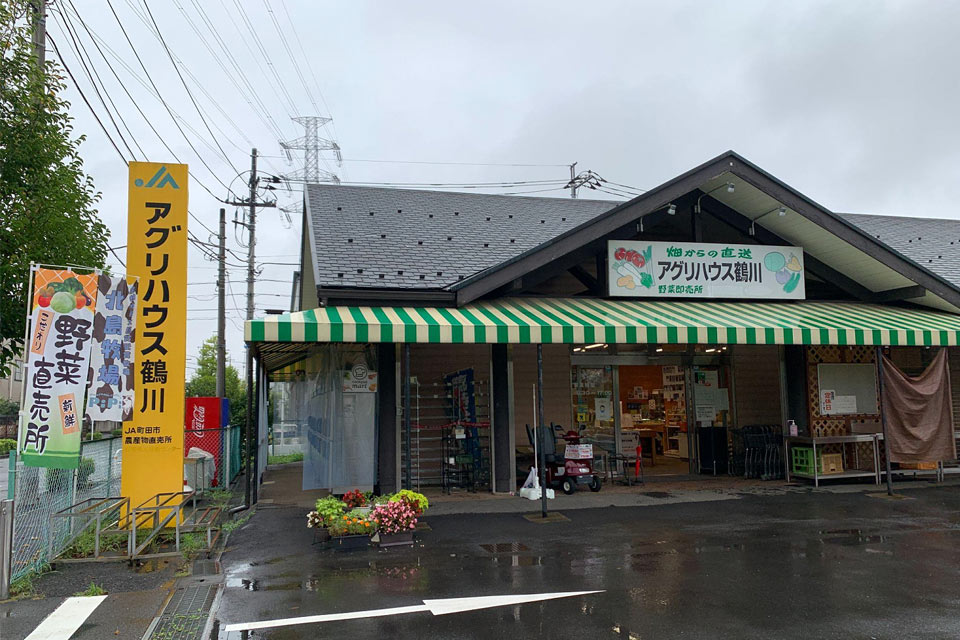 町田ぼたん園 「今猩々」 -