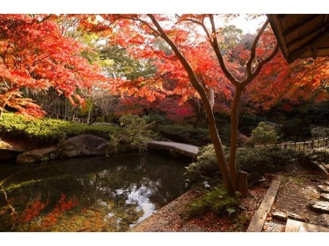 メニュー写真 : 完全個室居酒屋 もみじ咲 大門浜松町店