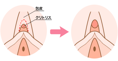 まるごと陰核（クリトリス）|アダルトグッズや大人のおもちゃ、玩具の通販ショップのNLS