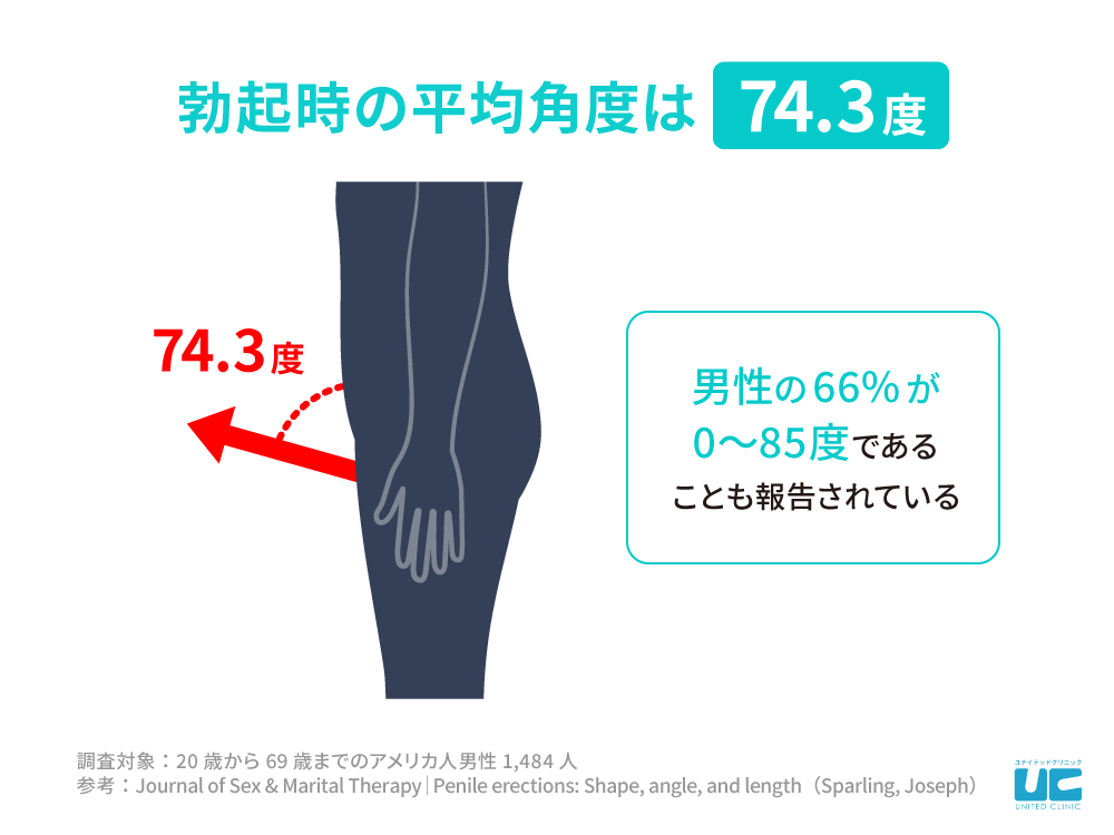 ペニスの大きさ平均は13cm！女性の理想サイズはさらにデカい！？｜薬の通販オンライン