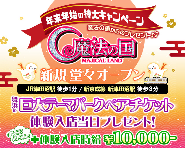 ピンサロ嬢の時給・給料(月給)・仕事内容を徹底解説｜風俗求人・高収入バイト探しならキュリオス