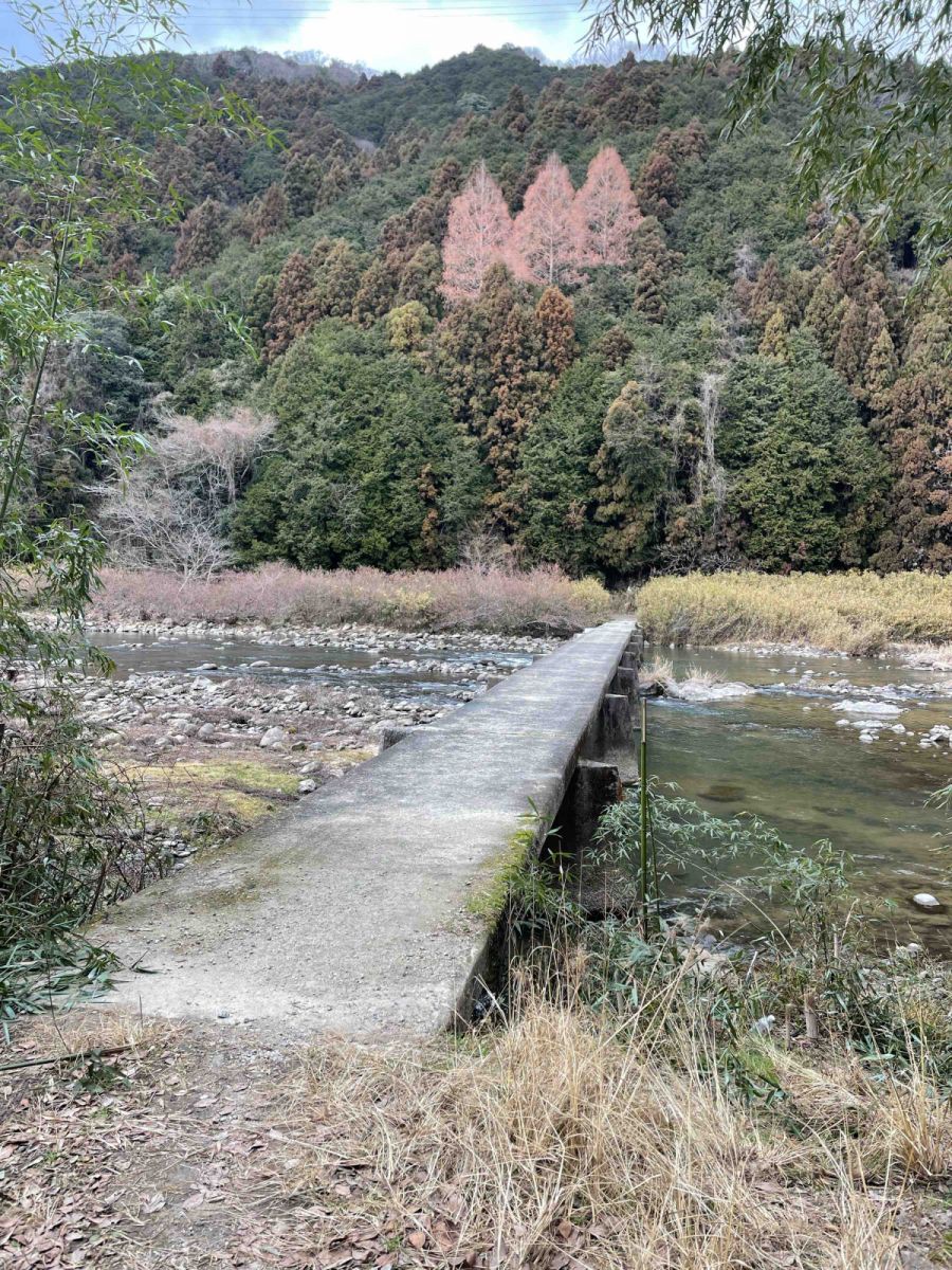 ハカの気合を児童に伝授 名張・箕曲小でニュージーランドのザビエルさん（中日新聞Web）｜ｄメニューニュース（NTTドコモ）