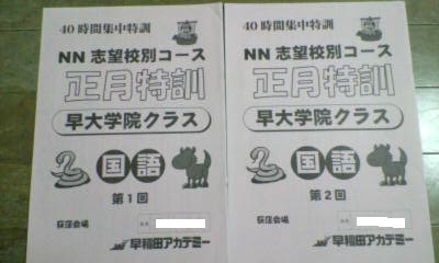 早稲田アカデミー＊6年＊ＮＮ 志望校別コース・正月特訓～４０時間集中特訓・国語 ２冊