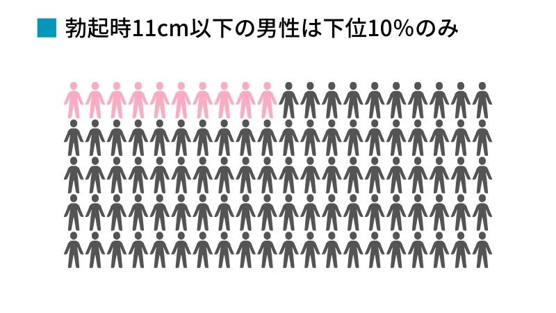 女性が理想のサイズは何センチ