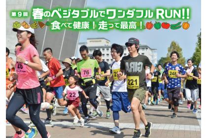 ドッジボール】塚口ブルーファイターズが「全国」へ、小学生の兵庫県大会 - サンテレビニュース