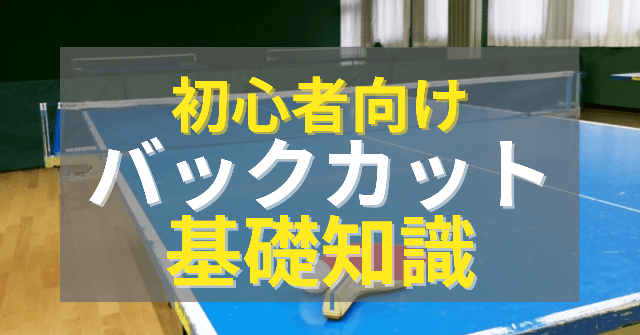 背筋が伸びて歩くときの呼吸が楽になる｜現場レポート｜50号｜WEB版すこやかライフ｜ぜん息などの情報館｜大気環境・ぜん息などの情報館｜独立行政法人環境再生保全機構