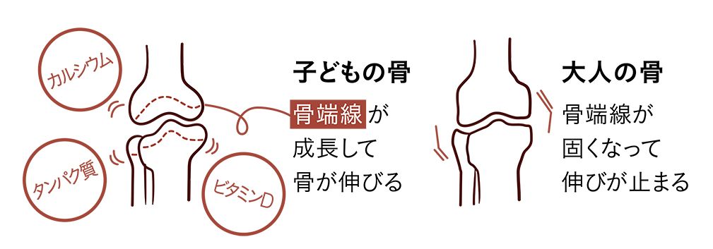 睾丸を大きくする方法！イケメンは睾丸が小さい説 – メンズ形成外科